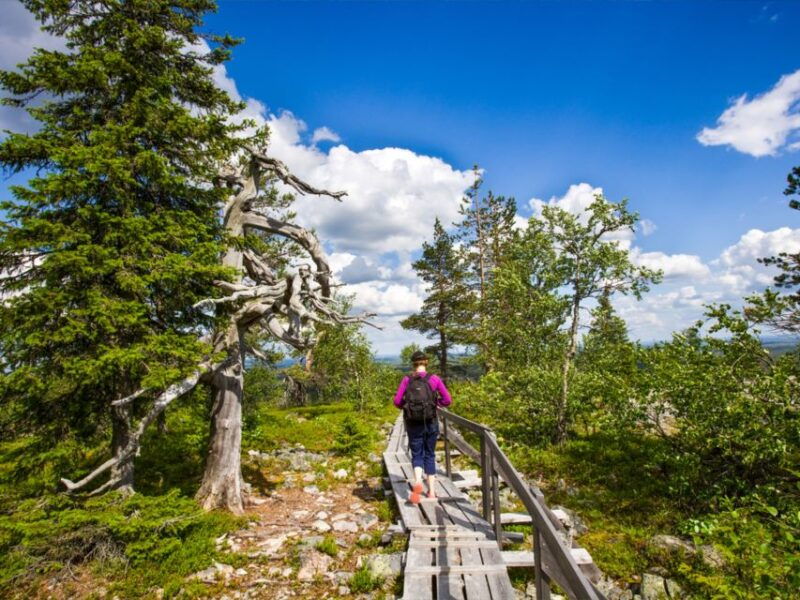 rovaniemi-korouoma-canyon-waterfalls-tour-with-bbq-3