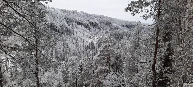 rovaniemi-korouoma-frozen-waterfalls-hike-with-lappish-bbq