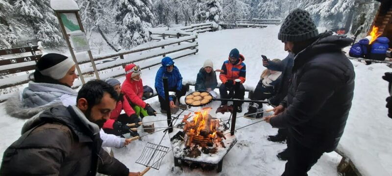 rovaniemi-korouoma-frozen-waterfalls-hike-with-lappish-bbq