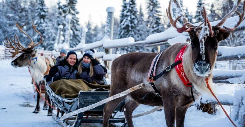 rovaniemi-local-reindeer-farm-visit-with-sleigh-ride