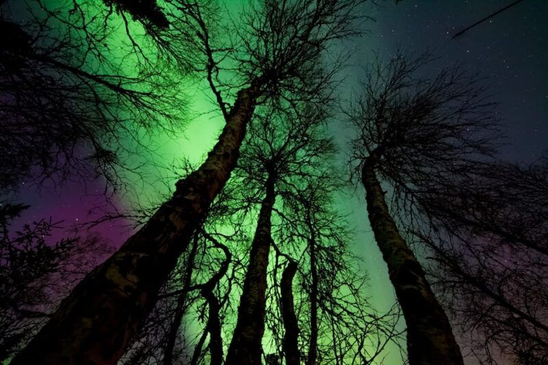 rovaniemi-long-northern-light-hunt-tour-with-procamera