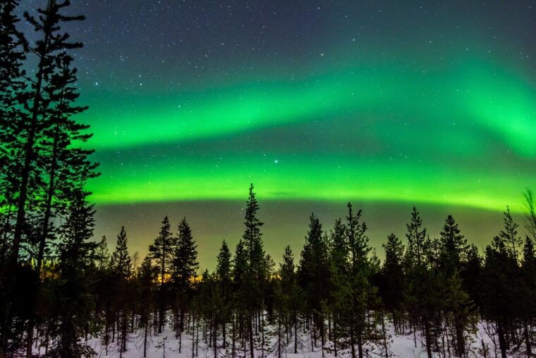 rovaniemi-long-northern-light-hunt-tour-with-procamera