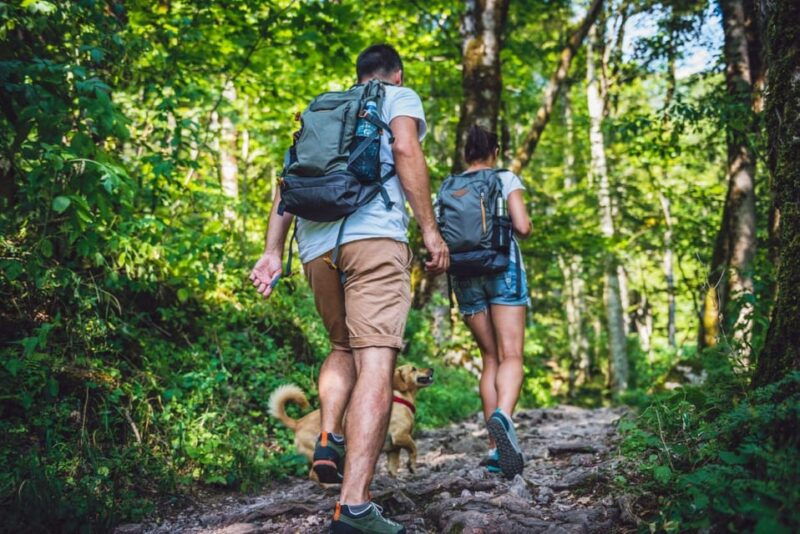 rovaniemi-magical-forest-hiking-adventure-tour-bbq