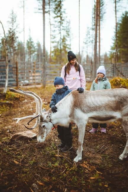Rovaniemi: Meet Santa Claus and His Friends - An In-Depth Look at the Rovaniemi Santa Tour