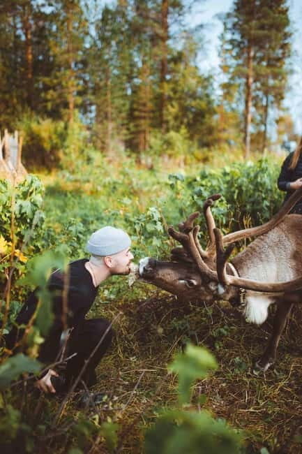 Rovaniemi: Meet Santa Claus and His Friends - FAQ