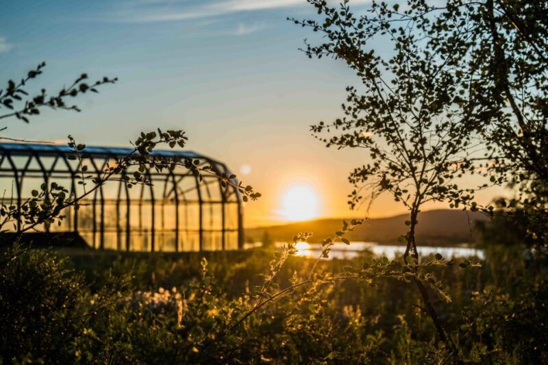 rovaniemi-midnight-sun-photography-tour