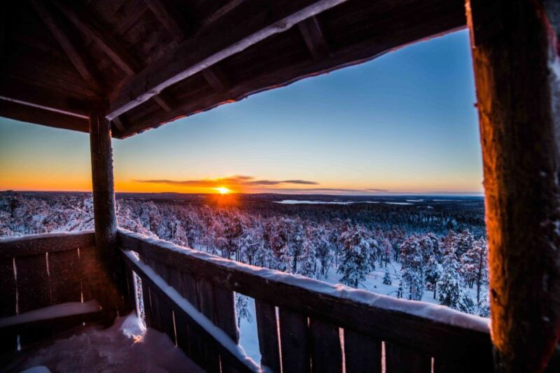 rovaniemi-nordic-forest-wilderness-adventure