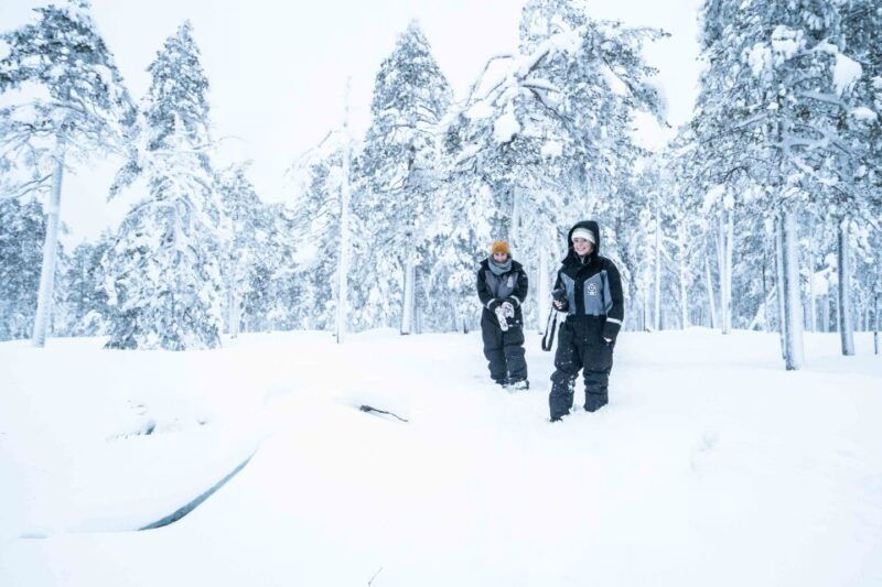 rovaniemi-nordic-forest-wilderness-adventure