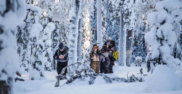 rovaniemi-nordic-forest-wilderness-adventure