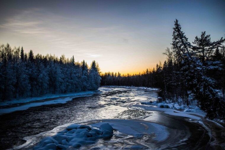 rovaniemi-nordic-forest-wilderness-adventure