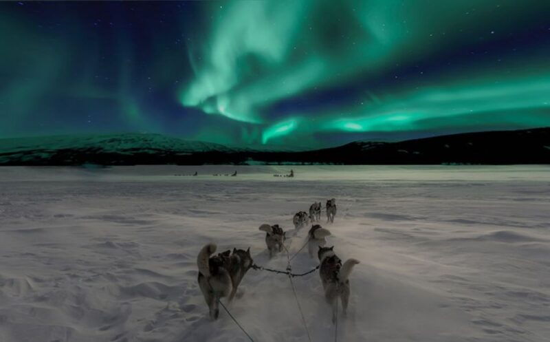rovaniemi-northern-lights-and-husky-sleigh-ride