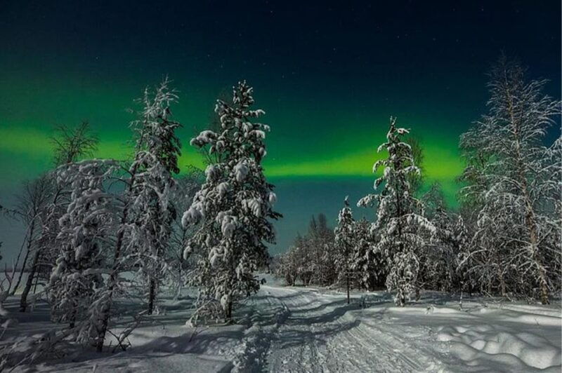 rovaniemi-northern-lights-and-husky-sleigh-ride