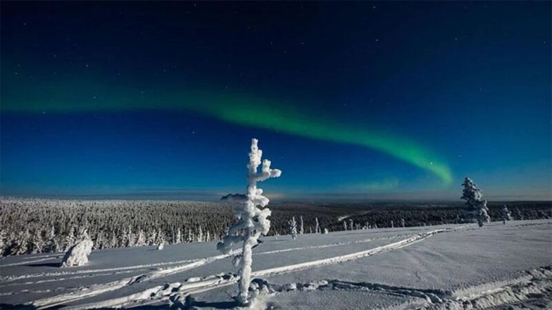 rovaniemi-northern-lights-and-husky-sleigh-ride