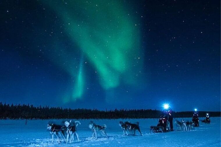 rovaniemi-northern-lights-and-husky-sleigh-ride