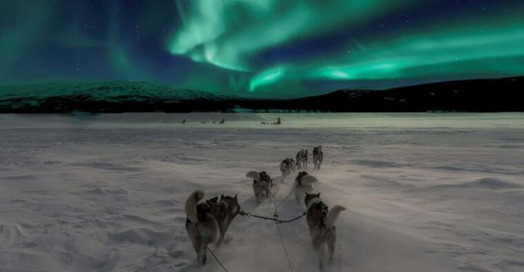 rovaniemi-northern-lights-and-husky-sleigh-ride