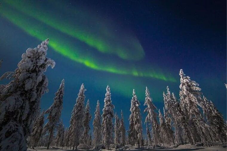 rovaniemi-northern-lights-and-husky-sleigh-ride
