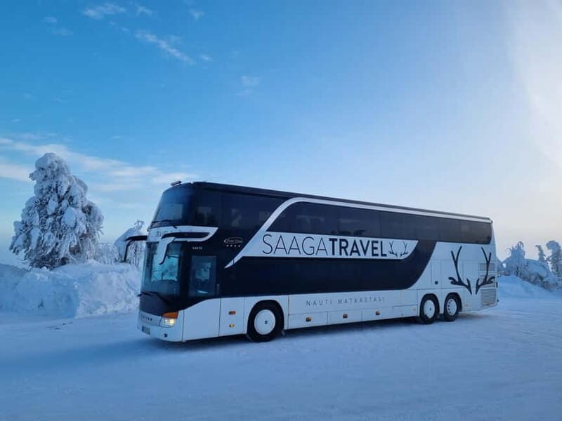 Rovaniemi: Northern Lights Bus Tour with Hot Drinks & Snacks - Rovaniemi: Northern Lights Bus Tour with Hot Drinks & Snacks