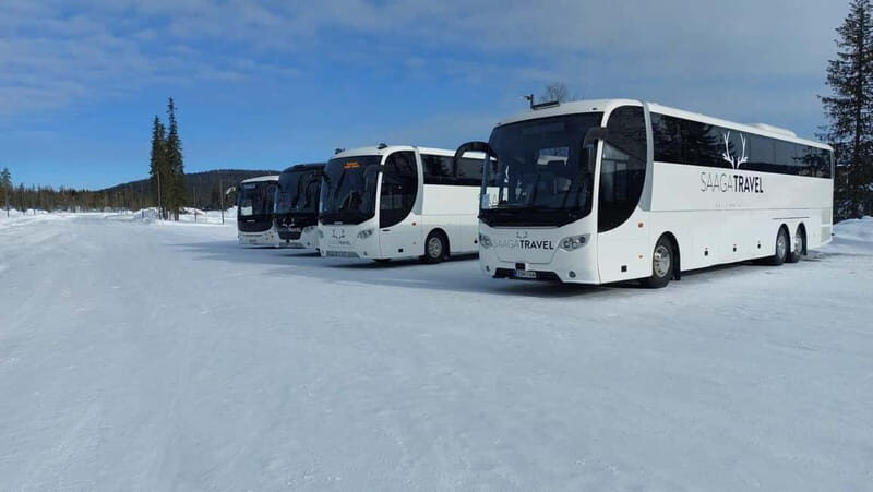 Rovaniemi: Northern Lights Bus Tour with Hot Drinks & Snacks - The Experience: What to Expect on the Northern Lights Bus Tour