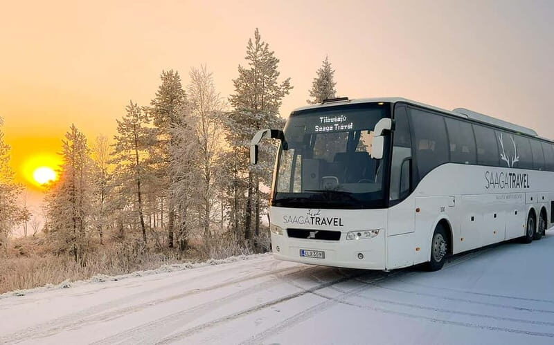 Rovaniemi: Northern Lights Bus Tour with Hot Drinks & Snacks - Who is This Tour Best For?