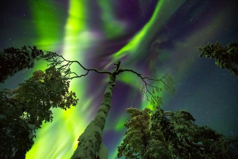 Rovaniemi: Northern Lights Hunt & Photography Experience - Key Points