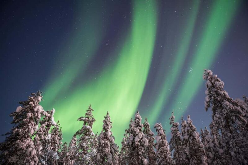 Rovaniemi: Northern Lights Hunt & Photography Experience - The Itinerary: What to Expect on the Night