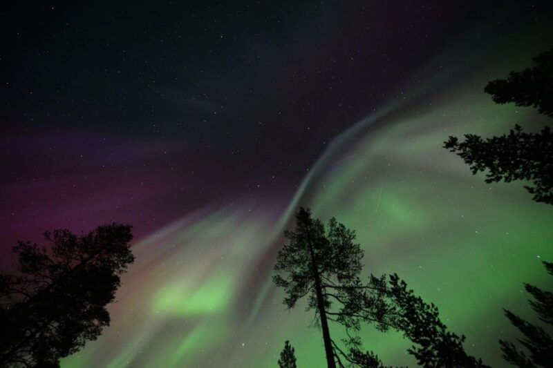 rovaniemi-northern-lights-hunting-tour