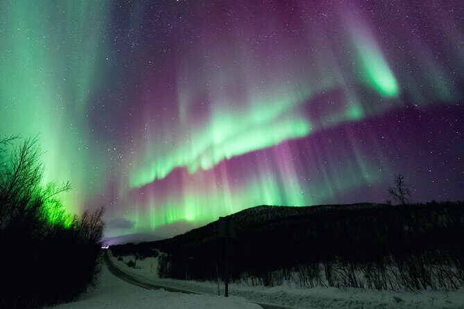 Rovaniemi: Northern Lights Pro Guaranteed - Unlimited (PRIVATE) - An Easy-to-Understand Overview of the Tour
