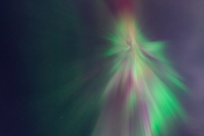 Rovaniemi: Northern Lights Pro Guaranteed - Unlimited (PRIVATE) - The Added Perks: Food, Drinks, and Atmosphere
