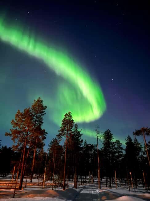 Rovaniemi: Northern Lights & Reindeer Experience - Who Should Book This Tour?