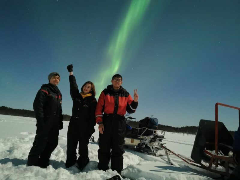 rovaniemi-northern-lights-sledge-ride