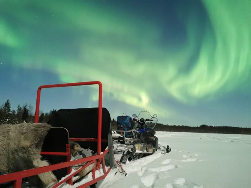 rovaniemi-northern-lights-sledge-ride