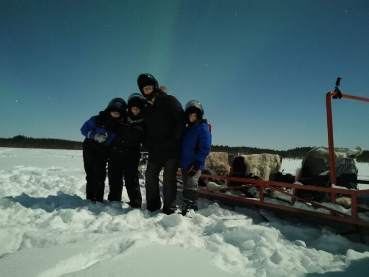 rovaniemi-northern-lights-sledge-ride