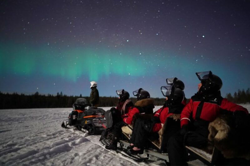 rovaniemi-northern-lights-sleigh-ride