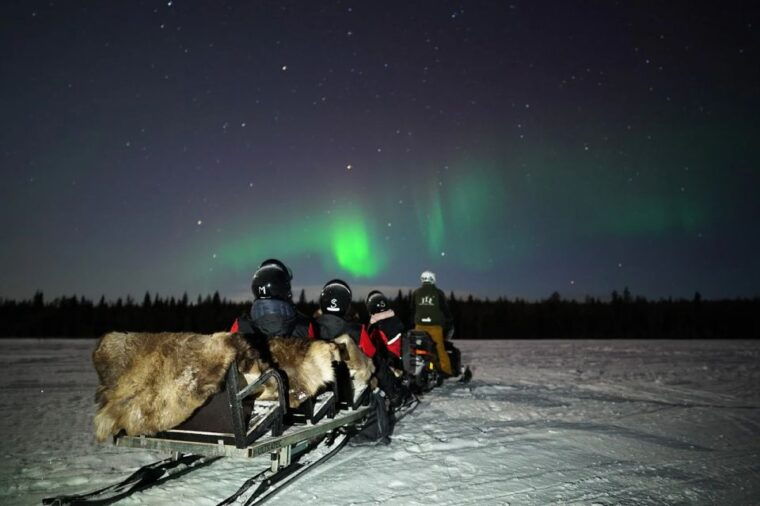 rovaniemi-northern-lights-sleigh-ride