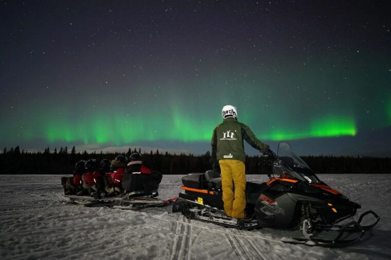 rovaniemi-northern-lights-sleigh-ride