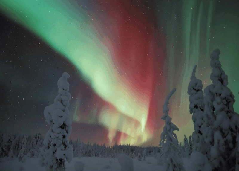 rovaniemi-northern-lights-snowmobile-safari-with-campfire