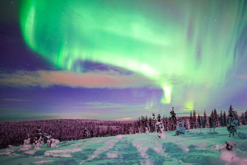rovaniemi-northern-lights-snowmobile-tour