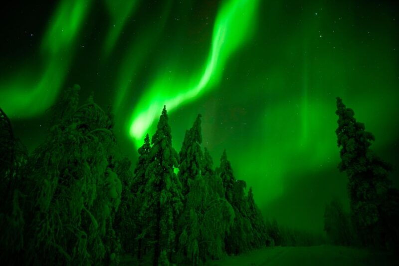 rovaniemi-northern-lights-snowmobile-tour