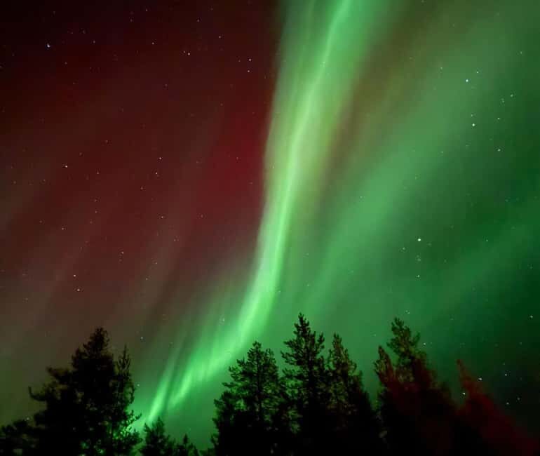 Rovaniemi: Northern Lights Tour - Aurora Viewing Guaranteed - Who Will Love This Tour?