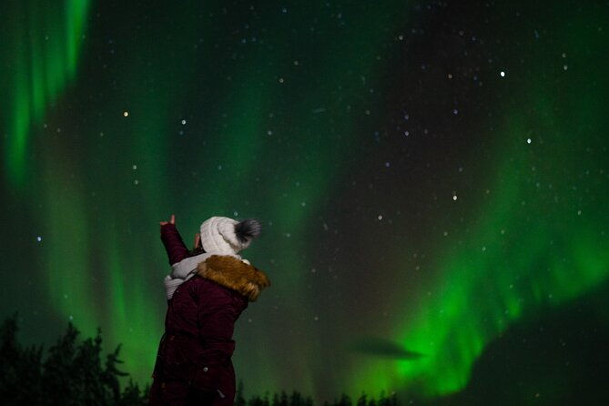 rovaniemi-northern-lights-tour