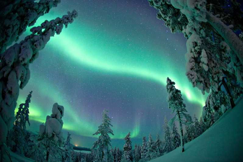 rovaniemi-northern-lights-tour-with-electric-snowmobiles