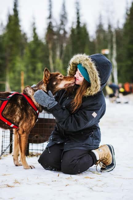 Rovaniemi: One Hour Husky Adventure - What’s Included and How It Works