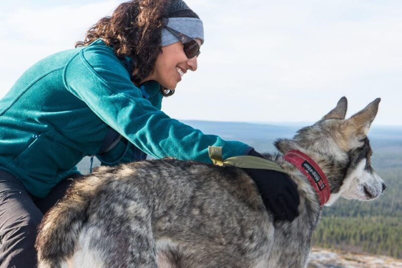 rovaniemi-one-hour-husky-experience
