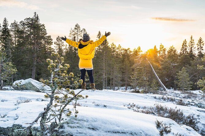 Rovaniemi photography tour - Weather and Northern Lights: Practical Tips