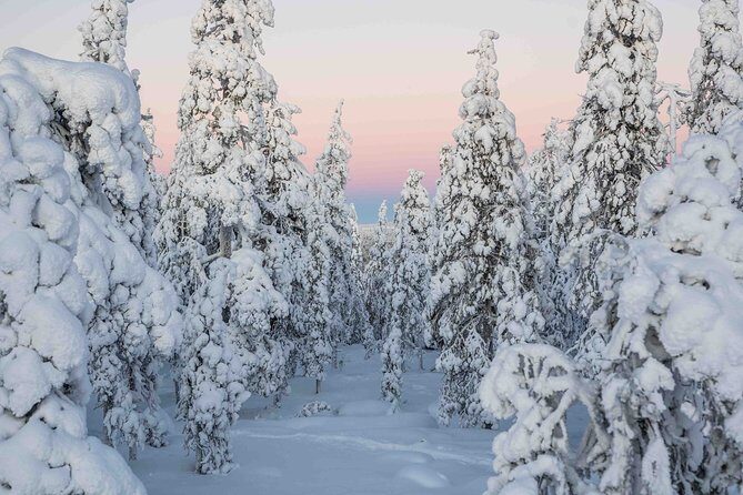 Rovaniemi photography tour - The Sum Up