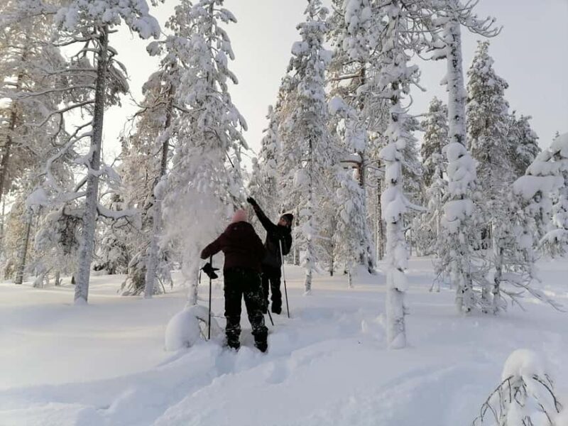 Rovaniemi: Private 3h Snowshoeing hike - Why This Tour Is Special