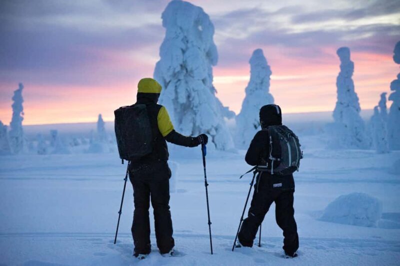 Rovaniemi: Private 3h Snowshoeing hike - What To Expect During the Hike