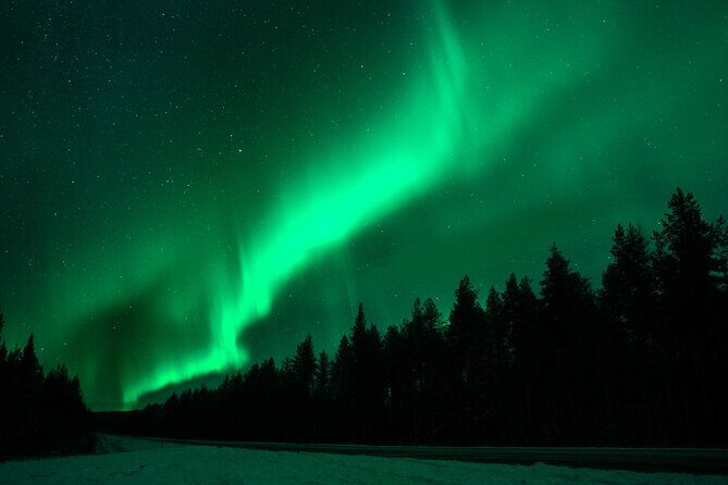 Rovaniemi: Private Aurora Tour with Guaranteed Sightings - Who Is It Best For?