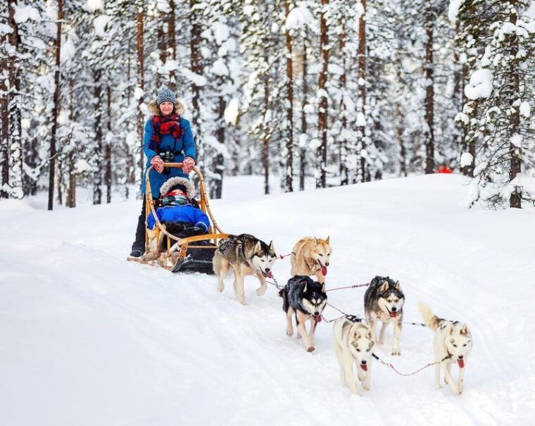 rovaniemi-private-santa-claus-village-tour