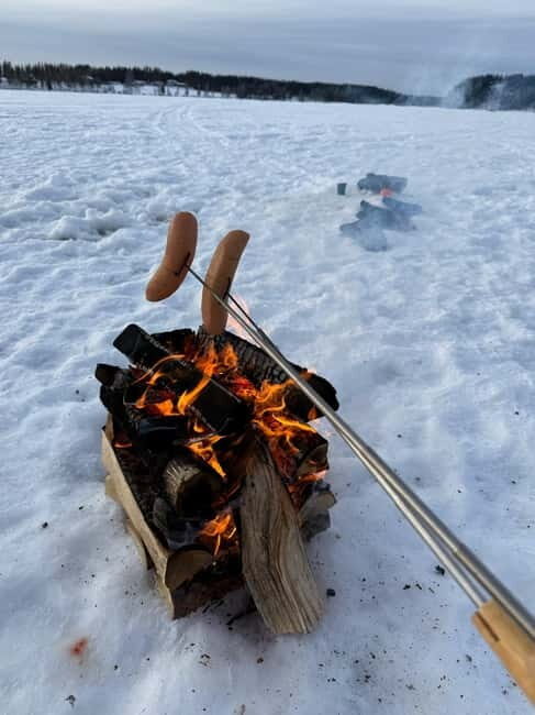 Rovaniemi: Private Snowmobile Trip in Lapland - An Authentic Arctic Adventure in Lapland